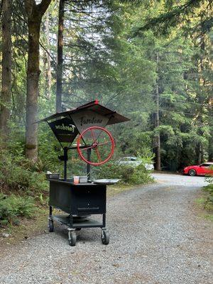 Grilling the salmon