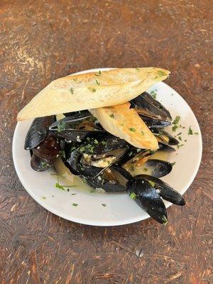 North Atlantic Mussels