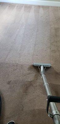 Carpet Cleaning Heavy Stains!