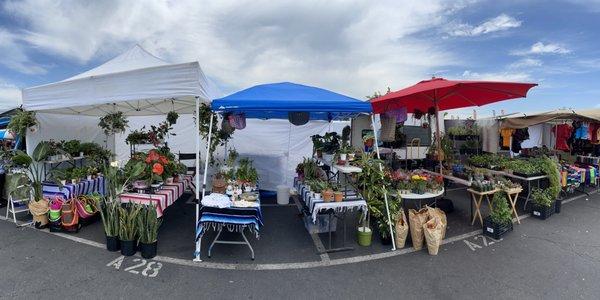 Swap meet booth