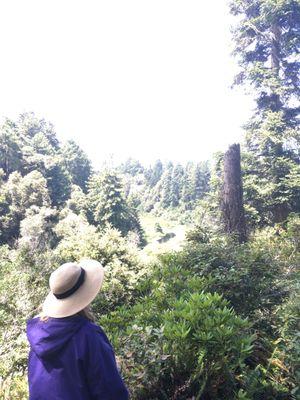 My friend Karen enjoying the view.