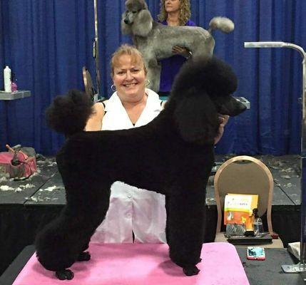 Kris Perez, ICMG AWARD WINNING GROOMER