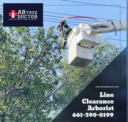 Removals of unsafe trees and limbs from power lines.  
Our Top Priority your Safety and Family.