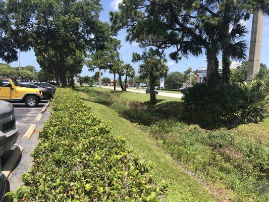 CLEANING TRENCH IN FRONT OF PUBLIX CORTEZ RD