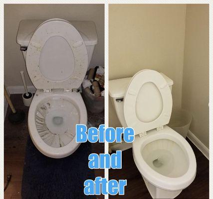 Brand new toilet! www.maids2match.com