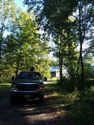 Mist blower in use to control Browntail Moth