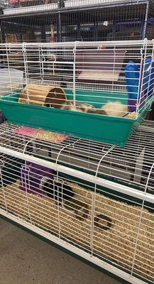 Three guinea pigs in a tiny petstore cage, same thing but with rabbits on the bottom