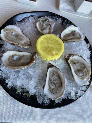 Oysters from New Brunswick, Canada