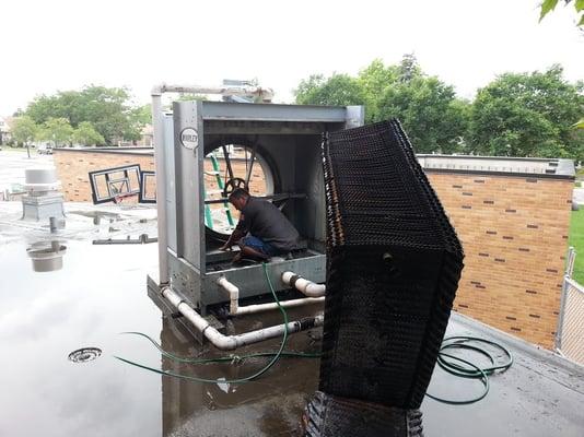 Proper Cleaning of Cooling Tower. These units MUST!!! be broken down to clean properly.