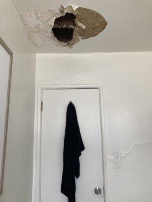 Two months of roaches falling through this hole