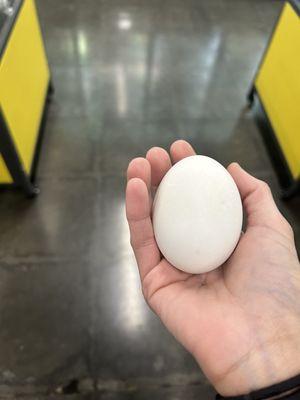 Duck egg