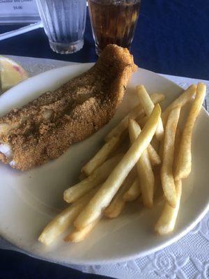 Catfish and French Fries