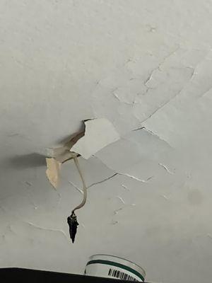 Mushroom growing from ceiling due to water damage.