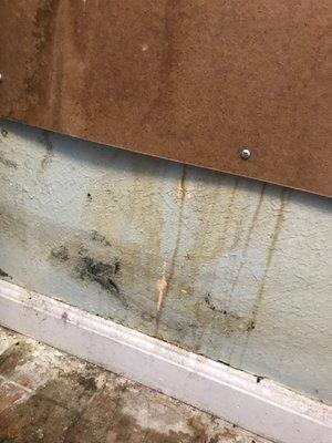 another angle of mold in laundry room