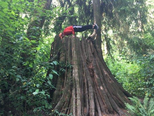 Yoga in nature.