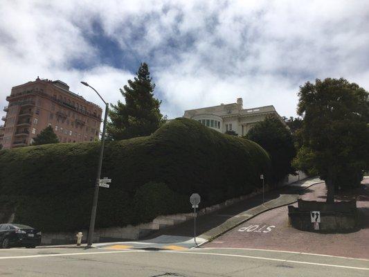 The retaining wall defines the large parcel of land extending from Washington to Jackson Street