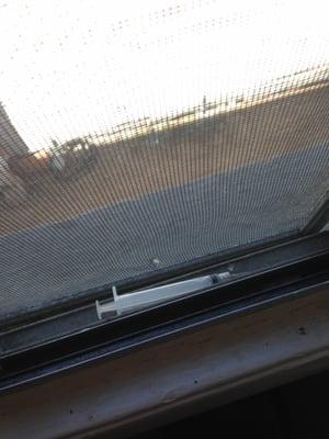 Oh just a syringe and needle in the bathroom window panel