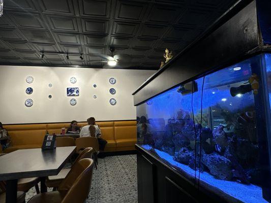 The fish tank and some really adorable plates on the wall from Asia