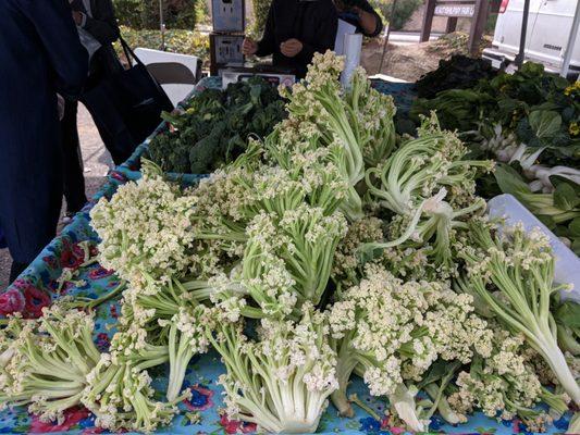 Special type of cauliflower