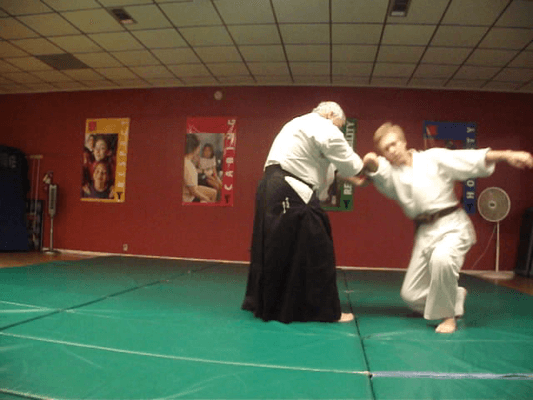 Shiho Nage Technique