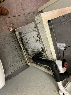 HVAC water leak+Mold