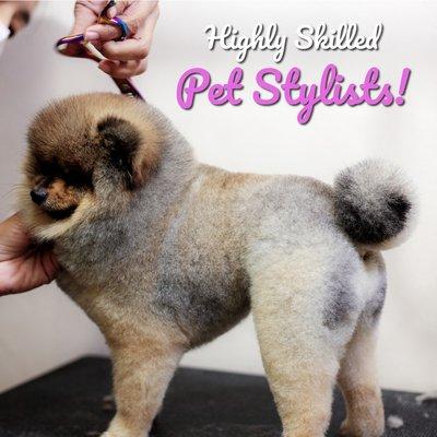 Le Pet Salon - Miami's best grooming salon