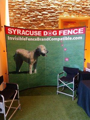 Syracuse Dog Fence