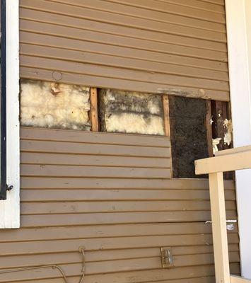 Remove dry rot on section of siding