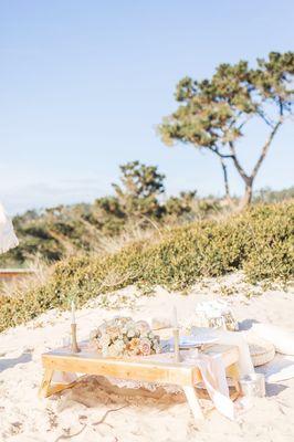 Our engagement with Pillows + Picnics setup.