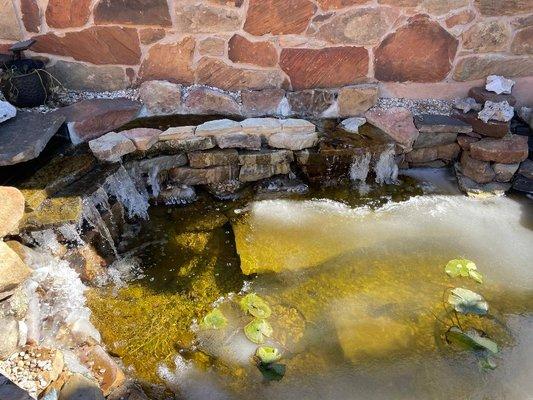 Pond Froze over fish survived.