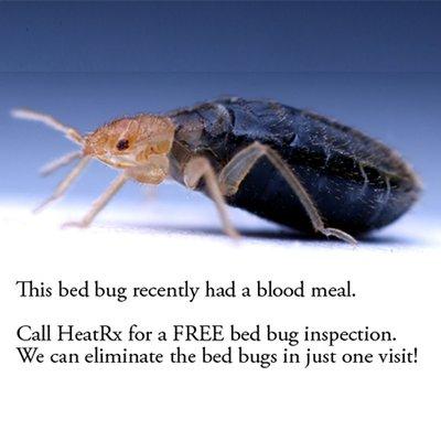 FREE bed bug inspections! Call our office to schedule.