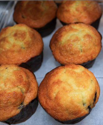 Blueberry muffins