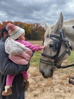 Petting one of the horses that pulled the trailer for the hay ride.