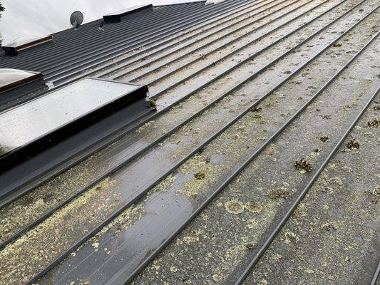 Check out all disliking on this metal roof before we cleaned it