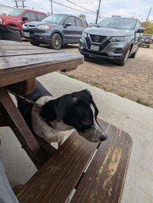 Mine and cowgirls first al fresco dining experience together!