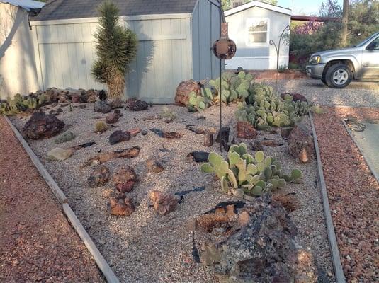 More cactus