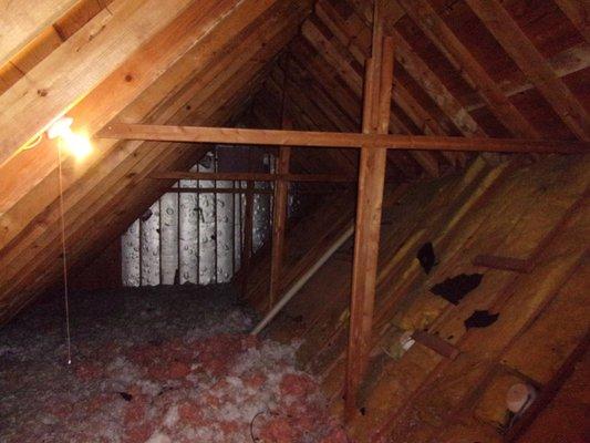 Inspecting an Attic in Crestwood