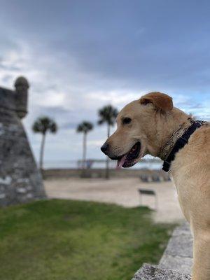 Skipper by the Castillo de San Marcos