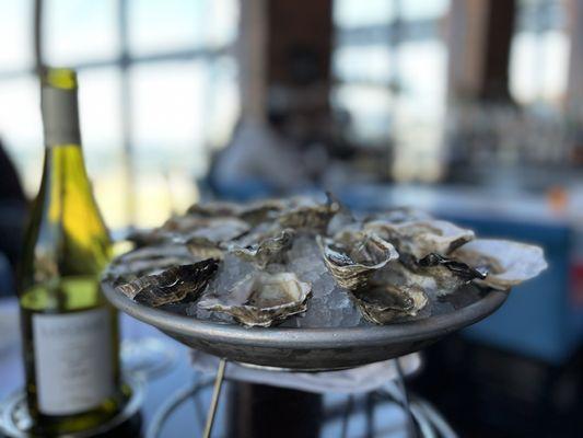 $1.55 Featured oysters at Waterbar is still the best steak in town