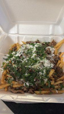 Carne Asada Fries