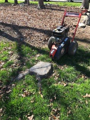 Stump Grinding