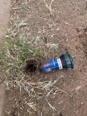 Broken (brand new) sprinkler head.