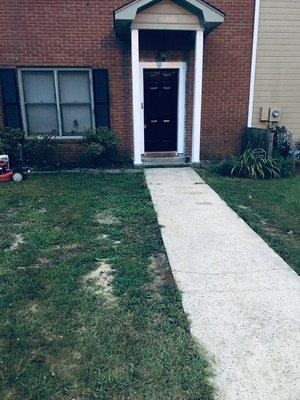 Pressure washing and landscaping