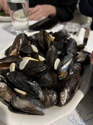 Mussels