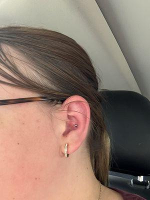 Conch piercing