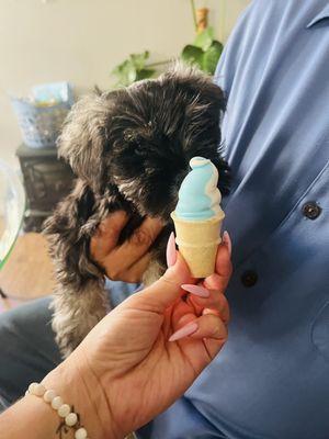 Adorable ice cream treat for my sister's new baby!