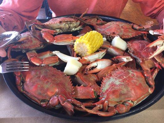 The 1/2 Dozens of the ex large select crabs  was very meaty and sweet.