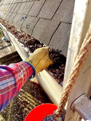 Tiger Cut Lawn Co offers gutter cleaning