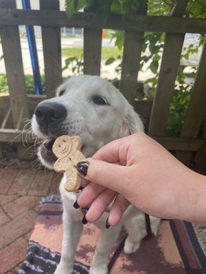 Lady Bug and her special treat.