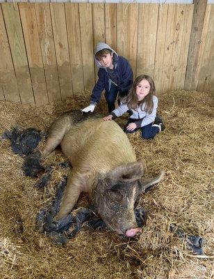 My children with a rescued pig